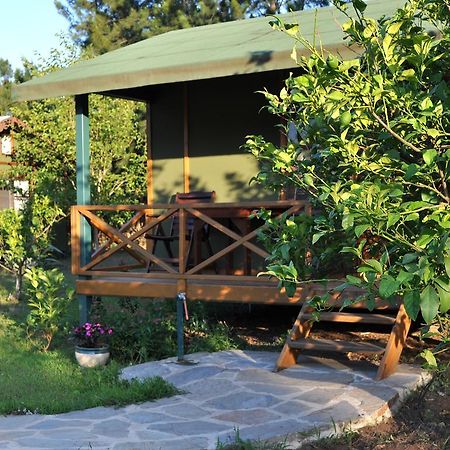 Hobbit Evi Hotel Cirali Room photo