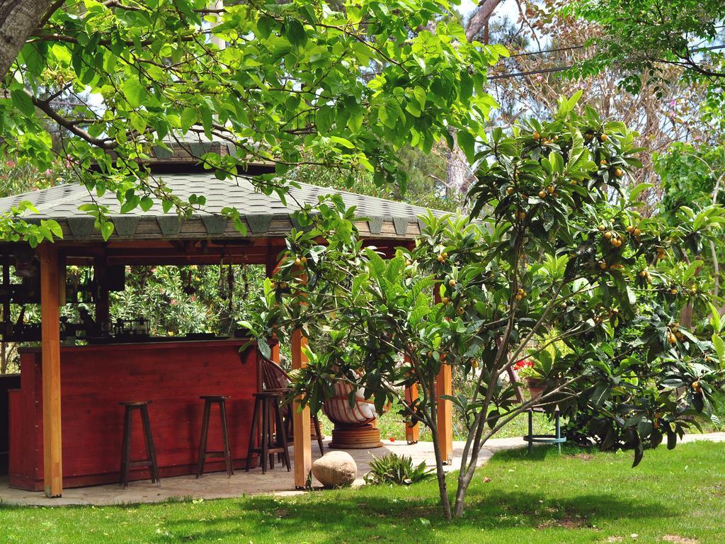Hobbit Evi Hotel Cirali Exterior photo