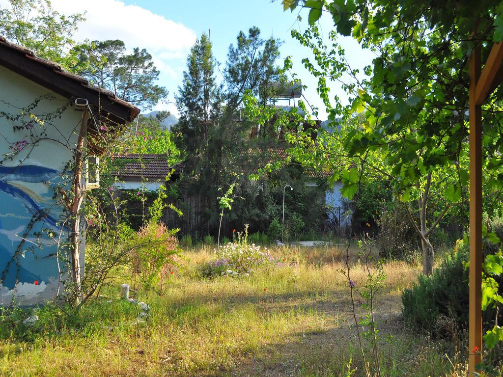 Hobbit Evi Hotel Cirali Exterior photo
