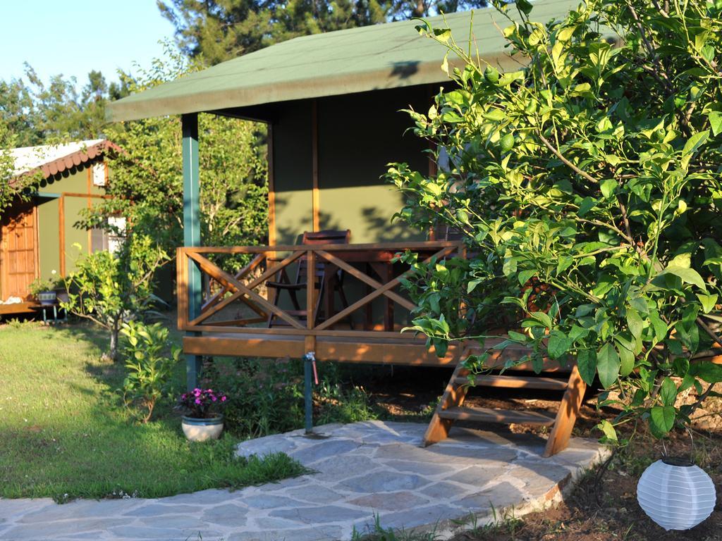 Hobbit Evi Hotel Cirali Room photo