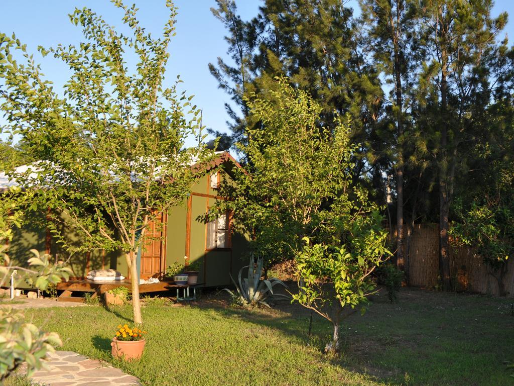 Hobbit Evi Hotel Cirali Room photo