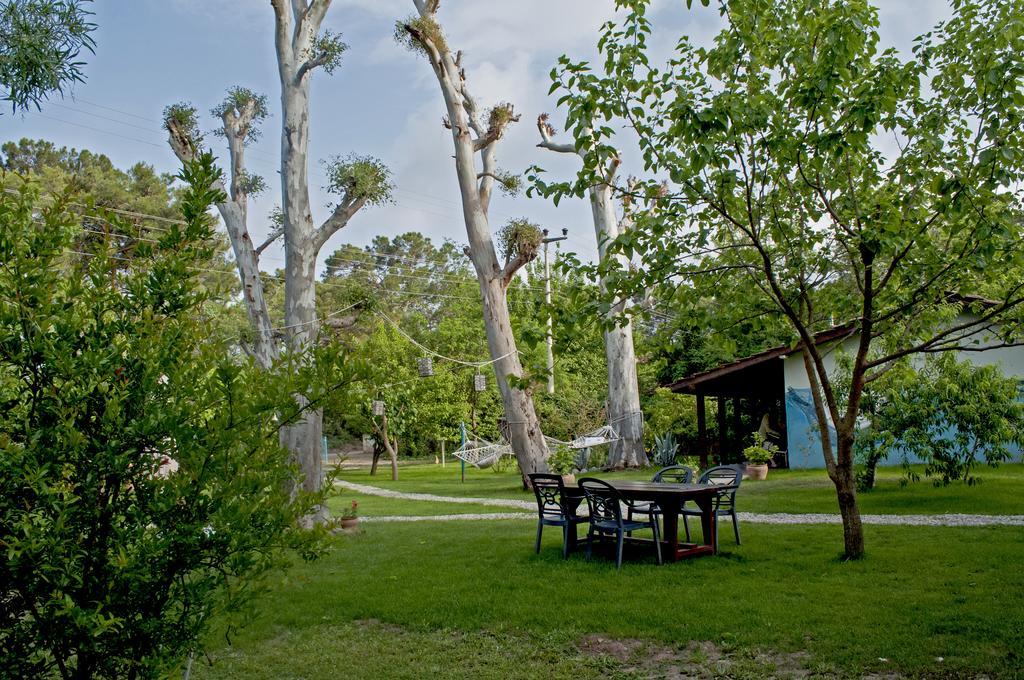 Hobbit Evi Hotel Cirali Exterior photo